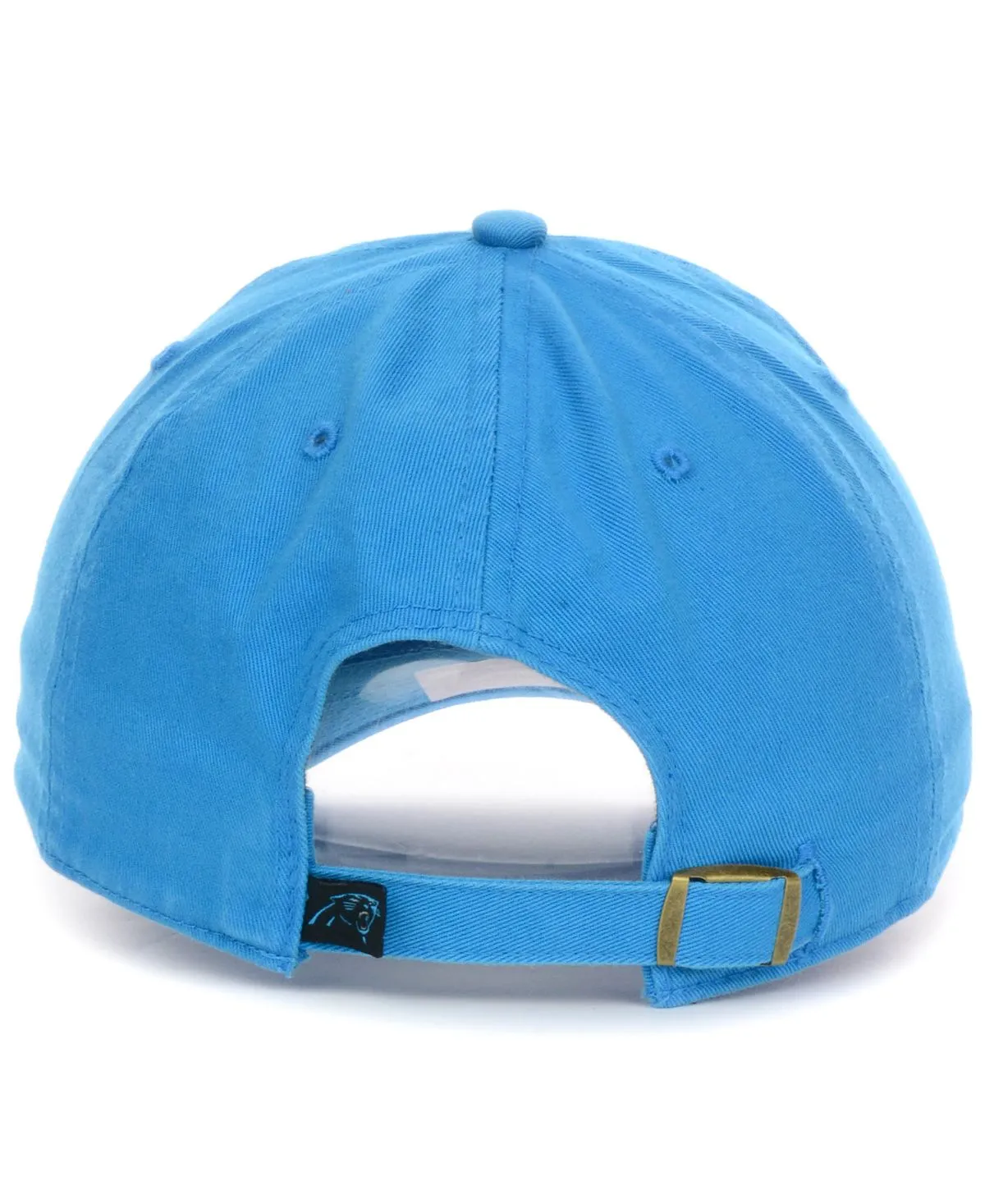 Carolina Panthers Clean Up Cap '47 Brand